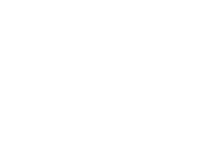 LET'S SEARCH!